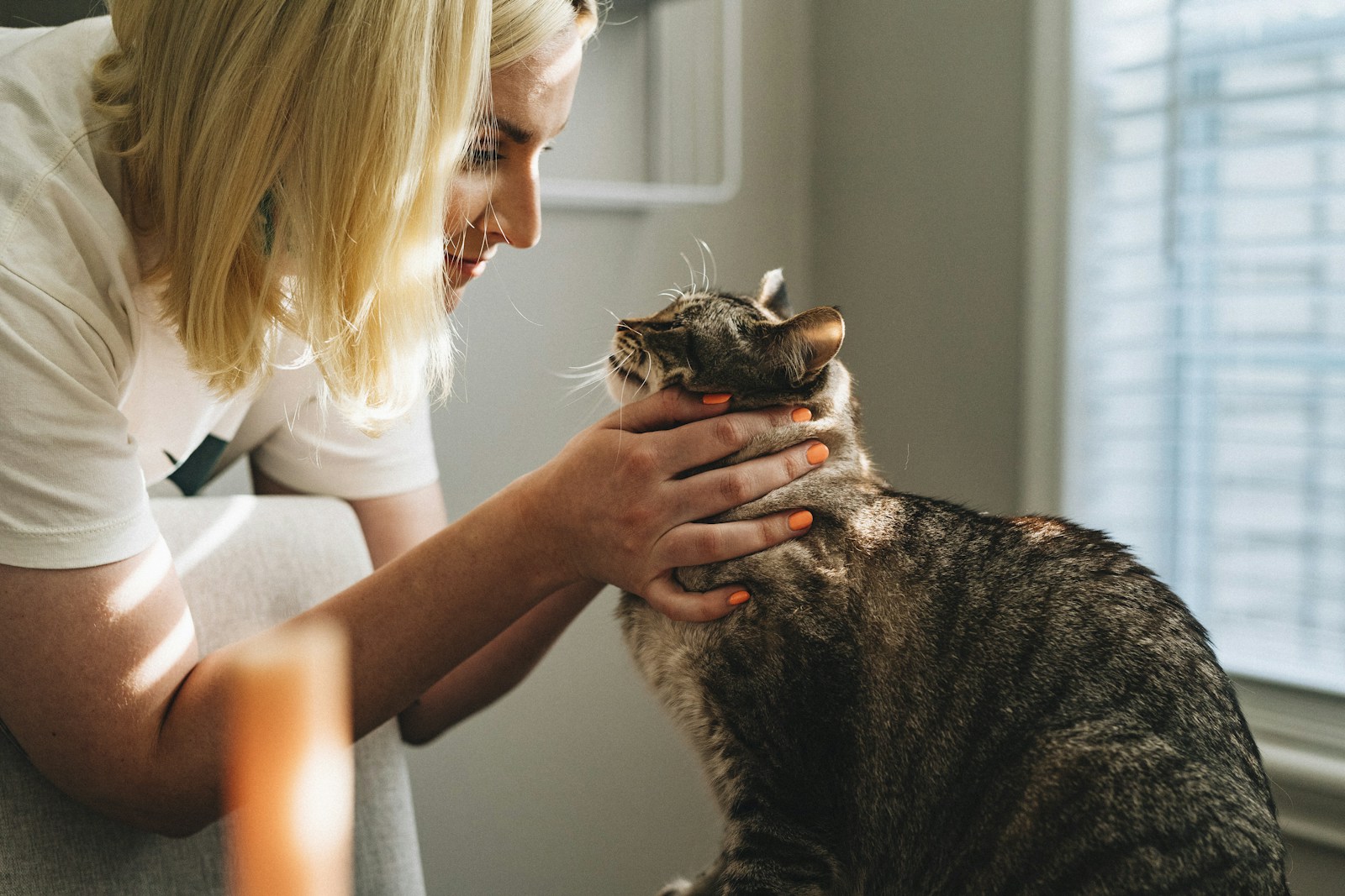 สัตวแพทย์ดูแลสุนัขอย่างใส่ใจ
